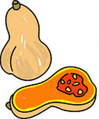 Butternut Squash